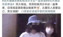 刘大锤爆料宋茜视频播放,揭秘明星幕后故事